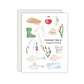 Fishing You A Happy Birthday Card - Fishing Birthday Card - Fisher Card - Birthday Card for Fisher - Fishing Lover